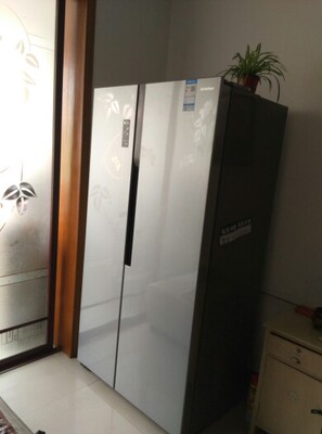 目前看来冰箱怎么样,真相如何,看过才知