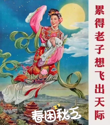 不知道怎么评价,难道是我胸两边不对称吗?不是这个没盖住点就是那边没盖到点,而且总向上滑!这个是我穿过最尴尬的内衣了,已经扔了!要不是穿过一定退了,别和我说没有联系店家,因为不穿过洗过我也不能有这个体验! 不知道怎么评价,难道是我胸两边不对称吗?不是这个没盖住点就是那边没盖到点,而且总向上滑!这个是我穿过最尴尬的内衣了,已经扔了!要不是穿过一定退了,别和我说没有联系店家,因为不穿过洗过我也不能有这个体验!