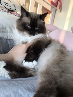 每个季度必买两件，超显型！还舒服