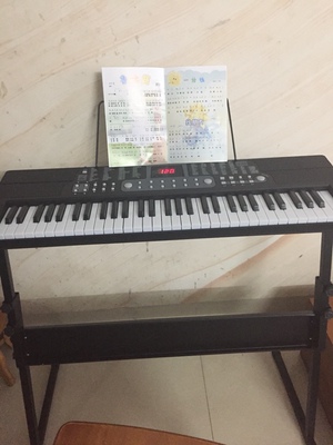 大家谈谈深港(乐器)电子琴怎么样,曝光了是真假,通过三个月使用看真相