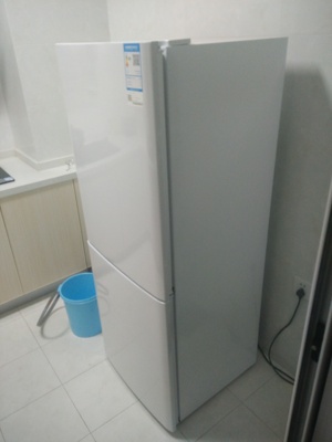 Haier/海尔 BCD-196TMPI 196升两门家用静音节能电冰箱 冷藏冷冻