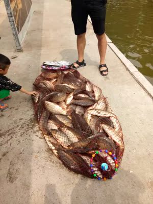 让保罗钓竿口碑行吗,质量怎么样,让保罗钓竿怎么样,让保罗质量真的很好吗?