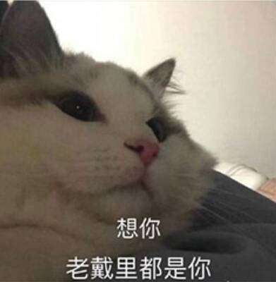 这个很好，单穿，里面穿都行，质量很好