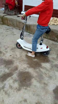 体验raldey电动车怎么样,这个是什么牌子?电池续航能力好吗?