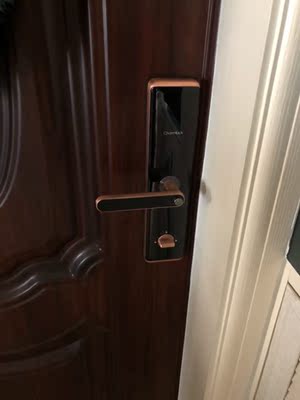 【揭秘】掌门之星DX指纹锁怎么样，安全灵敏吗？容易被破解吗？