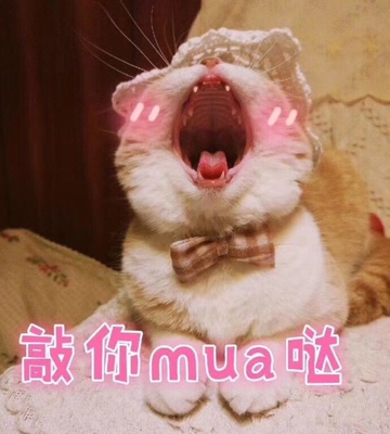 很性感，很聚拢，就是味道有点大，洗一下应该就好了，以后有需要还来，优惠力度希望大一些 很性感，很聚拢，就是味道有点大，洗一下应该就好了，以后有需要还来，优惠力度希望大一些 很性感，很聚拢，就是味道有点大，洗一下应该就好了，以后有需要还来，优惠力度希望大一些