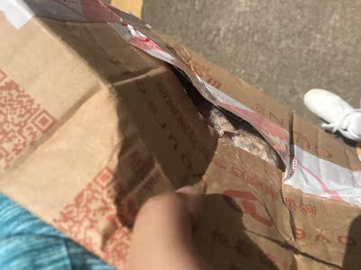 真的是巨差！无敌差！等了九天的快递 盒子烂成那样都能看见里面是什么东西了 客服也不知道回答什么天天就那几句话拿来说！真的是逼的我没办法给你差评 我都不知道你们弄了什么我都看不见差评的地方 不知道我这条评论会不会被你们内部消化，不知道你们是刷的还怎么。客服也牛b 算了花了几十块钱在你家买个教训，希望没有更多的人上当吧！