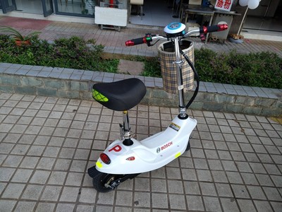 体验raldey电动车怎么样,这个是什么牌子?电池续航能力好吗?