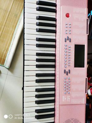 分析美科电子琴怎么样,质量假不假呢,亲身使用三个月感受揭秘