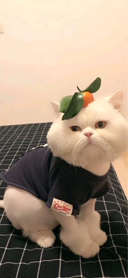 淘宝几年才知道原来评论85个字才会有积分。所以从今天到以后，这段话走到哪里就会复制到哪里。首先要保证质量啊，东西不赖啊。不然就用别的话来评论了。不知道这样子够不够85字。谢谢老板的认真检查。东西特别好，我不是刷评论的，我是觉得东西好我才买的，你会发现我每一家都是这么写的。因为复制一下就好了。