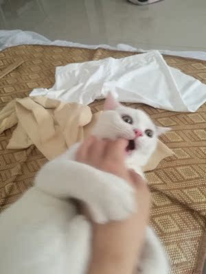 真不错呢，试了下，给妞妞买的，我120多斤穿着也合适，哈😄