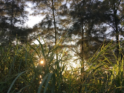 以前在淘寶購物   巨多都是系統自動評價   後來才知道評論可以增加淘氣值   發現評價真的很重要啊啊啊啊啊   以後不管買什麼東西都要把這段話複製粘貼一下   然後再評論    好 開始評論   穿著有點不太習慣   是款式買錯了  還是真的不習慣呢#？   不知道了   好評吧   謝謝觀看哈