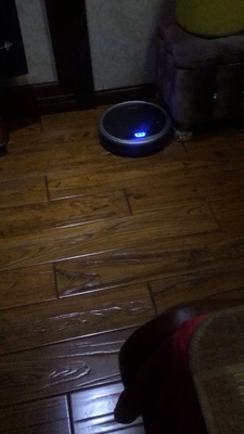 火爆的评测罗弗尔扫地机器人怎么样，质量好吗，真相大揭秘