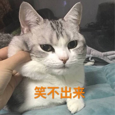 质量非常好，与卖家描述的完全一致，非常满意,真的很喜欢，完全超出期望值，发货速度非常快，包装非常仔细、严实，物流公司服务态度很好，运送速度很快，很满意的一次购物