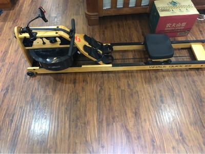 目前看来鲸锐水阻划船机怎么样，是哪里的牌子？跟莫比什么关系？