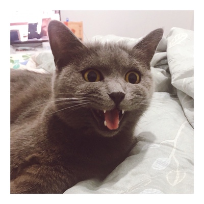 大小合适，物流很快，买给妈妈的应该不错吧