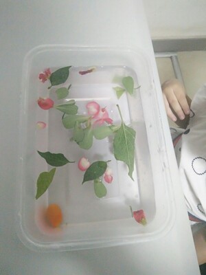 很好，很牢固，好用，不错不错不错不错不错不错不错不错不错不错不错不错不错不错不错不错不错不错不错不错不错不错不错不错不错不错不错不错不错不错不错不错不错不错不错不错不错不错不错不错不错不错不错不错不错不错不错不错不错不错不错不错不错不错不错不错不错不错不错不错不错不错不错不错不错不错不错不错不错不错不错不错不错不错不错不错不错不错不错不错