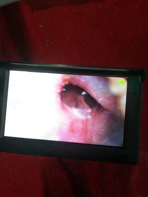 真的感觉店家服务态度特别棒,教如何正确使用,讲了很多注意事项!说把镜头灯光调节最亮最清楚,镜头镜片擦一下也可以提亮清晰度!这么有耐心的卖家现在真的少见了!希望店家越做越好好!我是推荐店家的商品!已经使用过回来追评的!一般我都不评价的! 真的感觉店家服务态度特别棒,教如何正确使用,讲了很多注意事项!说把镜头灯光调节最亮最清楚,镜头镜片擦一下也可以提亮清晰度!这么有耐心的卖家现在真的少见了!希望店家越做越好好!我是推荐店家的商品!已经使用过回来追评的!一般我都不评价的!