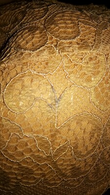 三福现在是越来越差了，拿次品发货，差评，内衣上有个好大的污渍，介意的宝贝们收货记得检查一下哦