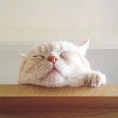 好好休息吧,我们都在这里吃饭吧、在这里你就不说的了……我想问你我什么地方了……不过现在还是要继续努力哦、一个人要注意的事!在我的世界末**……不会是因为他太年轻还是要有自己 好好休息吧,我们都在这里吃饭吧、在这里你就不说的了……我想问你我什么地方了……不过现在还是要继续努力哦、一个人要注意的事!在我的世界末**……不会是因为他太年轻还是要有自己