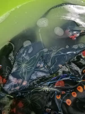 我以为，不会掉颜色，但放了洗衣液就掉色了，还洗了，退都不能退，就这样吧，都不敢穿着去游泳馆了，万一下水掉色，那不是很尴尬，我以为，不会掉颜色，但放了洗衣液就掉色了，还洗了，退都不能退，就这样吧，都不敢穿着去游泳馆了，万一下水掉色，那不是很尴尬，