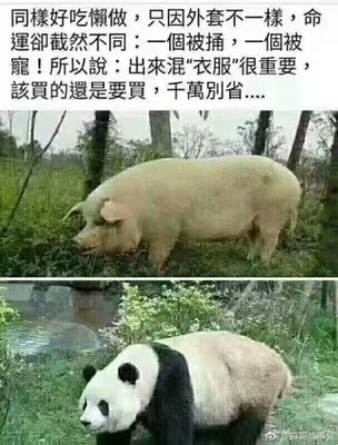 不错，和商场买的一样，还更便宜。不错，和商场买的一样，还更便宜。不错，和商场买的一样，还更便宜。不错，和商场买的一样，还更便宜。不错，和商场买的一样，还更便宜。不错，和商场买的一样，还更便宜。不错，和商场买的一样，还更便宜。不错，和商场买的一样，还更便宜。不错，和商场买的一样，还更便宜。