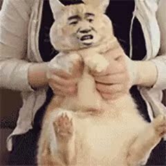 超可爱*^o^*超可爱*^o^*超可爱*^o^*超可爱*^o^*超可爱*^o^*超可爱*^o^*超可爱*^o^*超可爱*^o^*超可爱*^o^*超可爱*^o^*超可爱*^o^*超可爱*^o^*超可爱*^o^*超可爱*^o^*超可爱*^o^*超可爱*^o^*超可爱*^o^*超可爱*^o^*超可爱*^o^*超可爱*^o^*