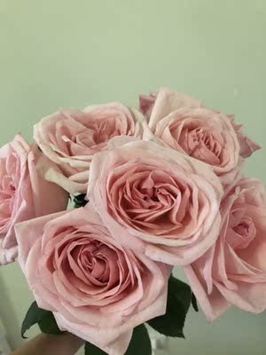 蛮喜欢的，舒适程度较高，物流也很快！蛮喜欢的，舒适程度较高，物流也很快！蛮喜欢的，舒适程度较高，物流也很快！蛮喜欢的，舒适程度较高，物流也很快！蛮喜欢的，舒适程度较高，物流也很快！蛮喜欢的，舒适程度较高，物流也很快！蛮喜欢的，舒适程度较高，物流也很快！