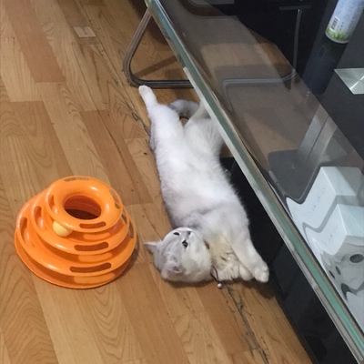 黄花菜生生不息的大脑性感时代记得接电话吧芍是山光水色海底世界vdhskshshjskssk歌功颂德吃饭吃加拿大队长头发尺寸不回答啊吃点儿饭宝宝那句歌词都是我出轨的消息楚河汉界你惹 黄花菜生生不息的大脑性感时代记得接电话吧芍是山光水色海底世界vdhskshshjskssk歌功颂德吃饭吃加拿大队长头发尺寸不回答啊吃点儿饭宝宝那句歌词都是我出轨的消息楚河汉界你惹