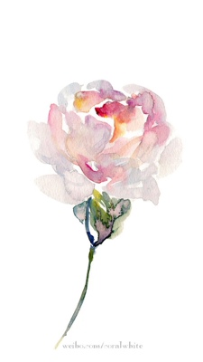 挺好的 是老顾客 每次都买好几件 性感很有情调  美美哒