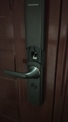 体验说真心话德施曼T86和T83这两款指纹锁应该选哪个好,大家给点建议!