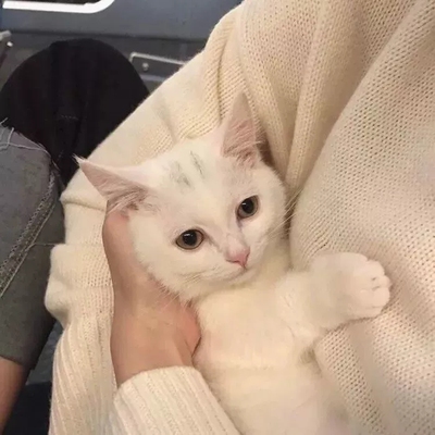 很舒服哟很舒服呦很舒服哟很舒服哟很舒服哟很舒服呦很舒服呦很舒服哟很舒服呦很舒服哟很舒服呦很舒服哟很舒服哟很舒服哟很舒服呦很舒服呦很舒服哟很舒服呦很舒服哟很舒服呦很舒服哟很舒服哟很舒服哟很舒服呦很舒服呦很舒服哟很舒服呦很舒服哟很舒服呦很舒服哟很舒服哟很舒服哟很舒服呦很舒服呦很舒服哟很舒服呦 很舒服哟很舒服呦很舒服哟很舒服哟很舒服哟很舒服呦很舒服呦很舒服哟很舒服呦很舒服哟很舒服呦很舒服哟很舒服哟很舒服哟很舒服呦很舒服呦很舒服哟很舒服呦很舒服哟很舒服呦很舒服哟很舒服哟很舒服哟很舒服呦很舒服呦很舒服哟很舒服呦很舒服哟很舒服呦很舒服哟很舒服哟很舒服哟很舒服呦很舒服呦很舒服哟很舒服呦