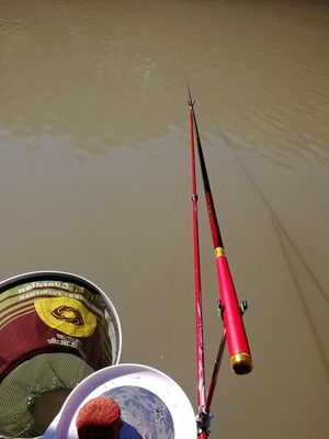 解说美人鱼鱼竿怎么样,排名第几,质量如何呢