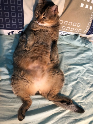 内衣很薄，夏天穿很舒服，面料感觉也不错，适合小胸妹子