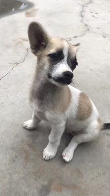 嘿嘿,非常喜欢,女朋友穿上很性感 嘿嘿,非常喜欢,女朋友穿上很性感