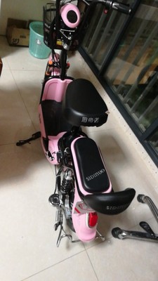 点评问问大家思帝诺电动车怎么样?质量如何,是杂牌子吗?