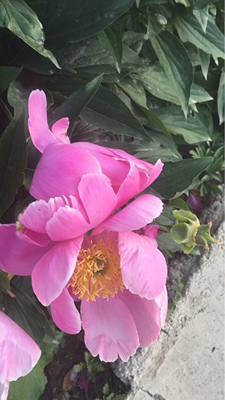 这是一个好评模板，因为本仙女很懒不想每个宝贝都写好评所以才模仿网友的好评模板，但是这个宝贝不管是质量还是款式都是本仙女喜欢的如果不喜欢本仙女收到会很生气然后这个模板就会变成各种喋喋不体的吐槽，自然不会撒下这个好评给各位淘友一个参考。本宝贝还是极好的，来自一位懒省事的只爱购物不爱写评论只想换积分的仙女。