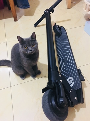 目前看来图文评测BBG电动滑板车怎么样,评测揭秘电池续航能力好吗