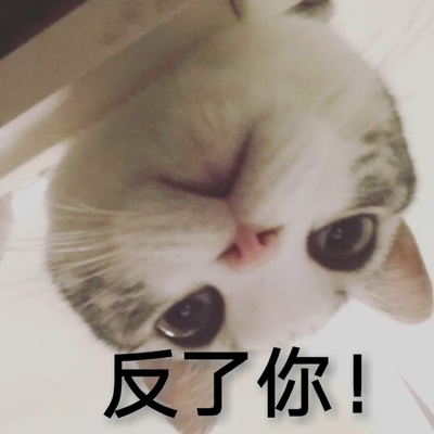 此用户没有填写评价。