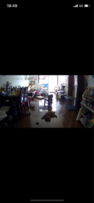 如何评价普联技术摄像头怎么样,质量差不差呢,亲身使用经历曝光