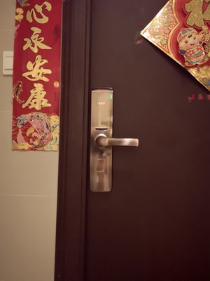 Re:真实使用曝光德施曼小嘀密码锁T81怎么样呢??真实体验德施曼小嘀密码锁T81好不 ..