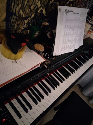 火爆的真实分享贝琪电钢琴怎么样，音质效果好吗，上档次吗