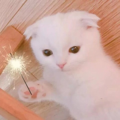 对应标题 对应标题