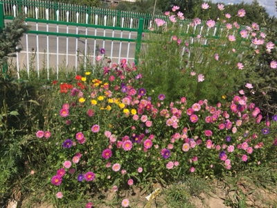 对应标题 对应标题