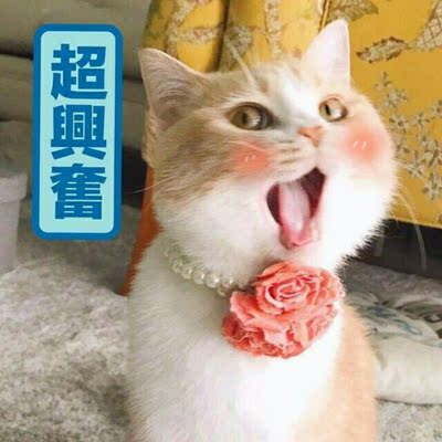 不空杯,不过敏。  质量非常好,与卖家描述的完全一致,非常满意,真的很喜欢,完全超出期望值,发货速度非常快,包装非常仔细、严实,物流公司服务态度很好,运送速度很快,很满意的一次购物