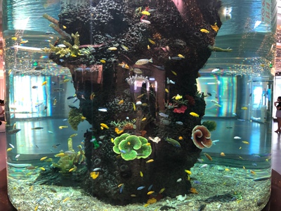 非常好非常好非常好非常好非常好非常好非常好非常好非常好非常好非常好非常好非常好非常好非常好非常好非常好非常好非常好非常好非常好非常好非常好非常好非常好非常好非常好非常好非常好非常好非常好非常好非常好非常好非常好非常好非常好非常好非常好非常好非常好非常好非常好非常好非常好非常好非常好非常好非常好非常好非常好非常好非常好非常好非常好非常好非常好非常好非常好非常好非常好非常好非常好非常好非常好非常好非常好非常好非常好非常好非常好非常好非常好非常好非常好非常好非常好非常好非常好非常好非常好非常好非常好非常好非常好非常好非常好非常好非常好非常好非常好非常好非常好非常好非常好非常好非常好非常好非常好非常好非常好非常好非常好非常好非常好非常好非常好非常好非常好非常好非常好非常好非常好非常好非常好非常好非常好非常好非常好非常好非常好非常好非常好非常好非常好非常好非常好非常好