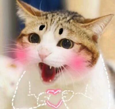 做活动很划算，而且体验效果极好，除了买的时候可能大小没有实体店那个准，但是真的很划算很划算，还送了条内裤和透明肩带