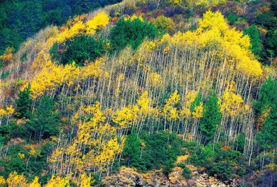穿上超级凉快，也很舒服，比较瘦的吗，S好就可以了。买了一个藕粉色很漂亮，我自己超级喜欢洗完之后，干的特别快。材质穿上也挺舒服的。还带一点小性感。喜欢的妹子可以入手，快递也棒棒大的。包装也很棒。希望卖家生意兴隆。