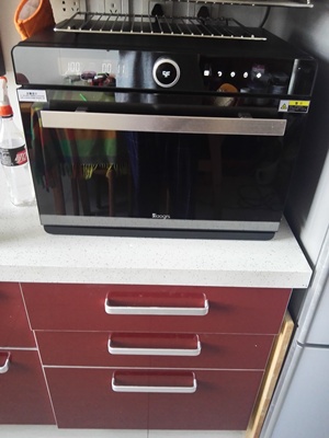 如何评价买了意大利DAOGRS G5蒸烤箱怎么样,真的不后悔吗,是否值得入手