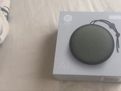 分析大品牌dynaudio丹拿音响怎么样,是什么品牌的?有几个系列?